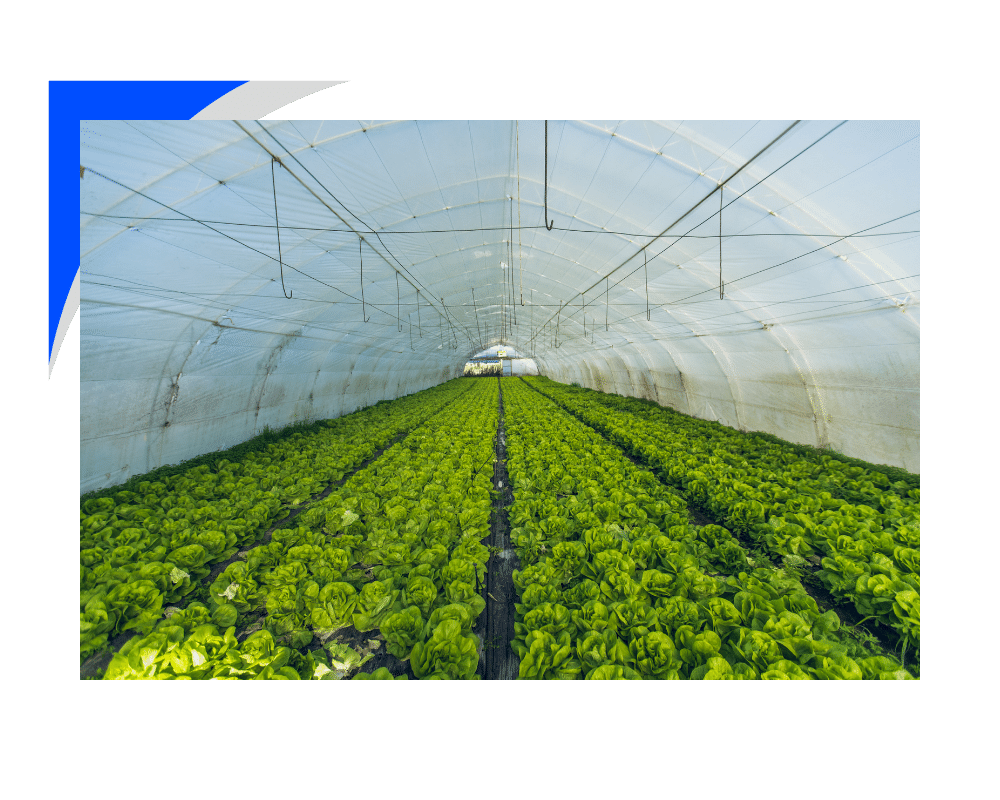 Agriculture & Farming